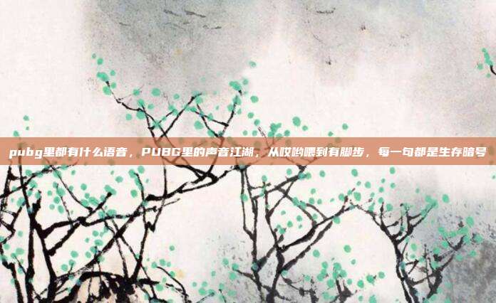pubg里都有什么语音,PUBG里的声音江湖,从哎哟喂到有脚步,每一句都是生存暗号