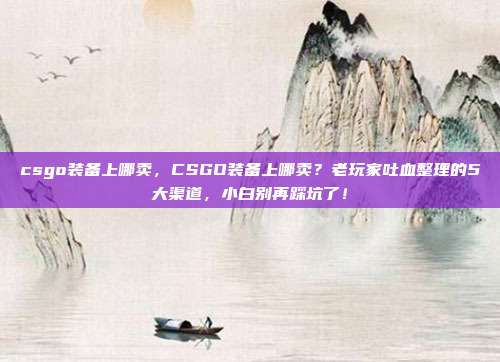 csgo装备上哪卖,CSGO装备上哪卖?老玩家吐血整理的5大渠道,小白别再踩坑了!