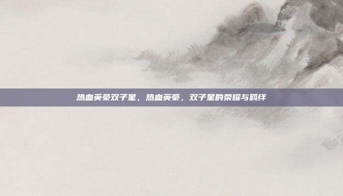热血英豪双子星，热血英豪，双子星的荣耀与羁绊