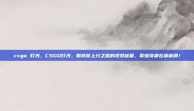 csgo 灯光,CSGO灯光,照亮你上分之路的视觉秘籍,职业哥都在偷偷调!