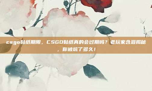 csgo贴纸期限,CSGO贴纸真的会过期吗?老玩家含泪揭秘,你被坑了多久!