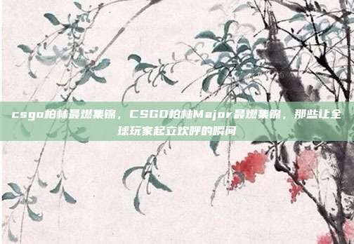 csgo柏林最燃集锦，CSGO柏林Major最燃集锦，那些让全球玩家起立欢呼的瞬间