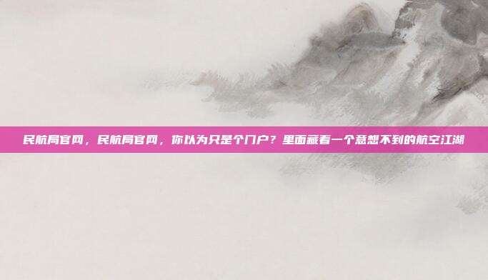 民航局官网，民航局官网，你以为只是个门户？里面藏着一个意想不到的航空江湖