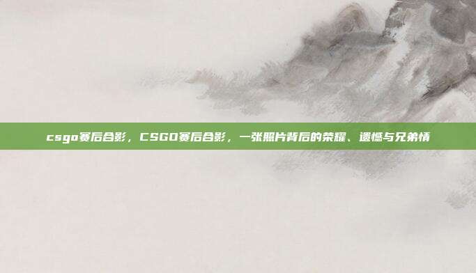 csgo赛后合影，CSGO赛后合影，一张照片背后的荣耀、遗憾与兄弟情