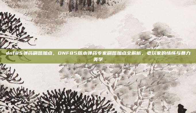 dnf85弹药刷图加点，DNF85版本弹药专家刷图加点全解析，老玩家的情怀与暴力美学