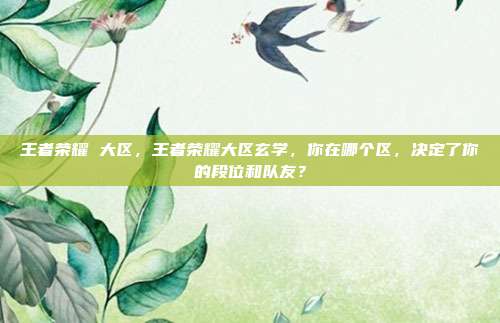 王者荣耀 大区,王者荣耀大区玄学,你在哪个区,决定了你的段位和队友?