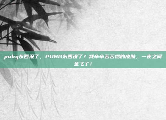 pubg东西没了，PUBG东西没了？我辛辛苦苦攒的皮肤，一夜之间全飞了！