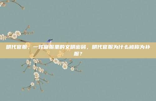 明代官服，一件官服里的文明密码，明代官服为什么被称为补服？