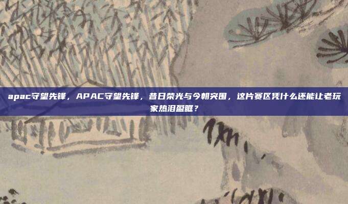 apac守望先锋,APAC守望先锋,昔日荣光与今朝突围,这片赛区凭什么还能让老玩家热泪盈眶?