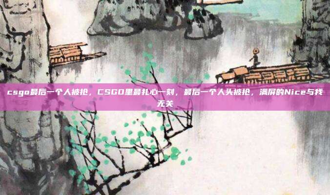 csgo最后一个人被抢，CSGO里最扎心一刻，最后一个人头被抢，满屏的Nice与我无关