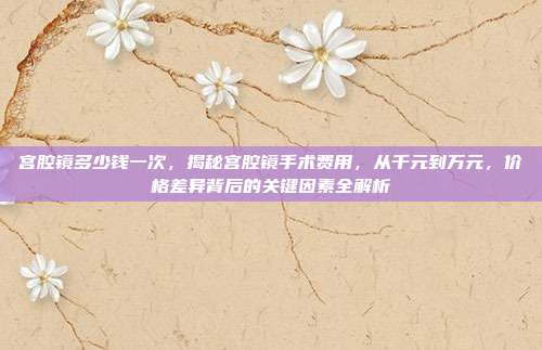 宫腔镜多少钱一次，揭秘宫腔镜手术费用，从千元到万元，价格差异背后的关键因素全解析