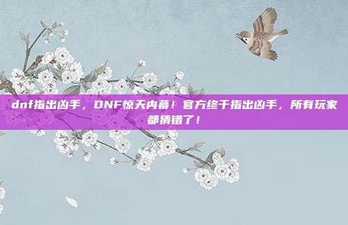 dnf指出凶手,DNF惊天内幕!官方终于指出凶手,所有玩家都猜错了!