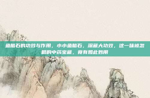 鱼脑石的功效与作用,小小鱼脑石,深藏大功效,这一味被忽略的中药宝藏,竟有如此妙用