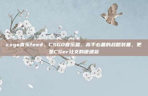 csgo音乐feed，CSGO音乐盒，高手必备的战略装备，更是CSer社交的硬通货