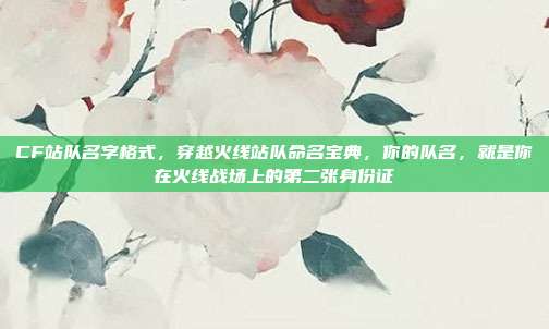 CF站队名字格式,穿越火线站队命名宝典,你的队名,就是你在火线战场上的第二张身份证