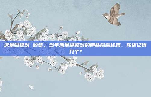 流星蝴蝶剑 秘籍，当年流星蝴蝶剑的那些隐藏秘籍，你还记得几个？