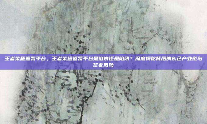 王者荣耀返费平台，王者荣耀返费平台是馅饼还是陷阱？深度揭秘背后的灰色产业链与玩家风险