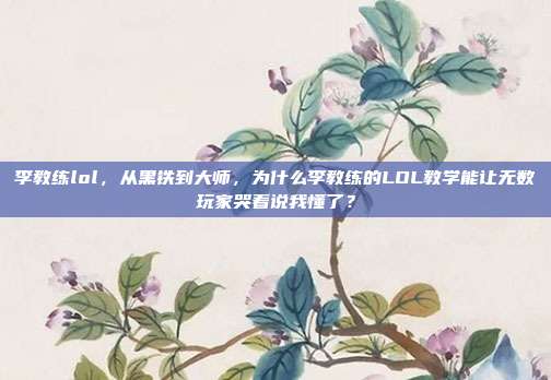 李教练lol,从黑铁到大师,为什么李教练的LOL教学能让无数玩家哭着说我懂了?