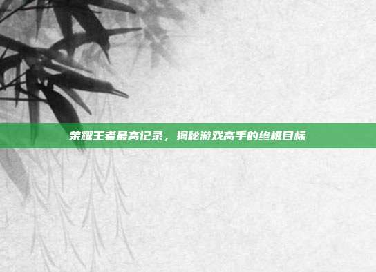 荣耀王者最高记录，揭秘游戏高手的终极目标