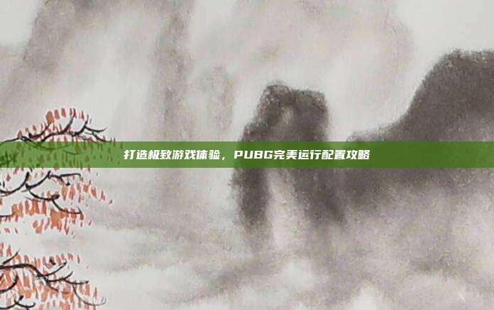 打造极致游戏体验,PUBG完美运行配置攻略