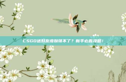 CSGO送好友皮肤领不了?新手必看攻略!