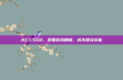 大仁CSGO,掌握游戏精髓,成为顶尖玩家