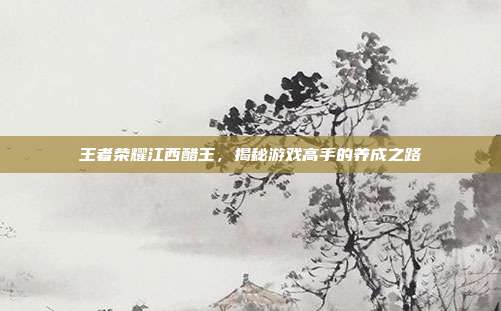 王者荣耀江西醋王,揭秘游戏高手的养成之路