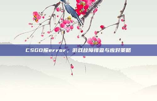 CSGO报error，游戏故障排查与应对策略