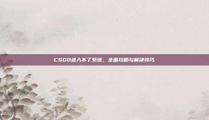 CSGO进入不了系统,全面攻略与解决技巧