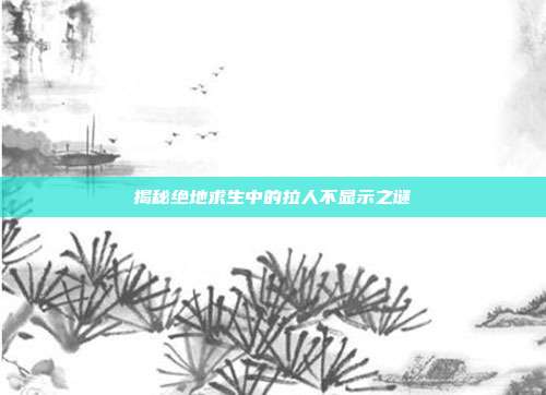揭秘绝地求生中的拉人不显示之谜