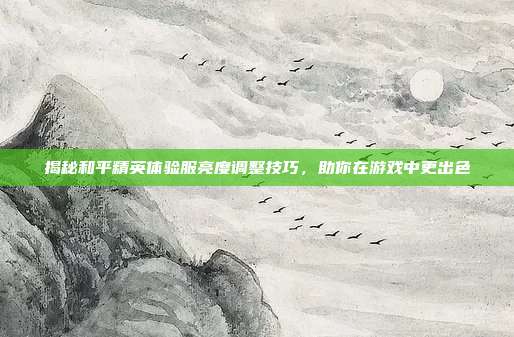 揭秘和平精英体验服亮度调整技巧,助你在游戏中更出色