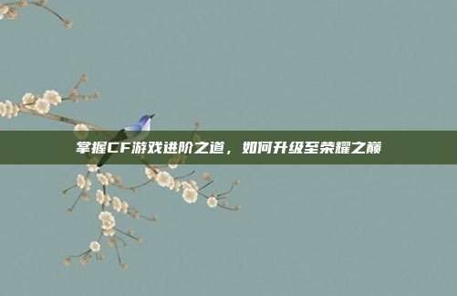 掌握CF游戏进阶之道，如何升级至荣耀之巅