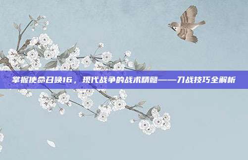 掌握使命召唤16,现代战争的战术精髓——刀战技巧全解析