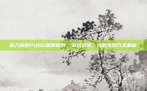 深入探索PUBG面质官网,游戏资讯、攻略与技巧全解析