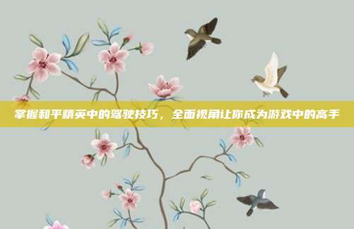 掌握和平精英中的驾驶技巧,全面视角让你成为游戏中的高手