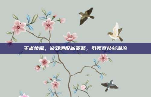 王者荣耀,游戏适配新策略,引领竞技新潮流