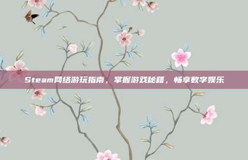 Steam网络游玩指南,掌握游戏秘籍,畅享数字娱乐