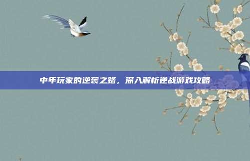 中年玩家的逆袭之路,深入解析逆战游戏攻略