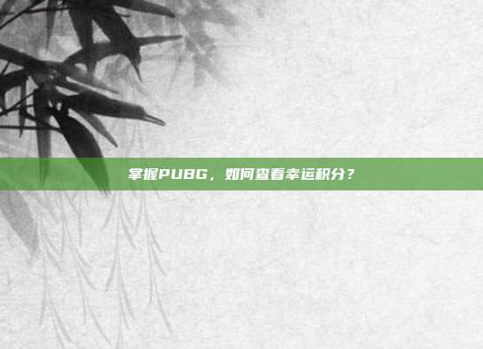 掌握PUBG，如何查看幸运积分？