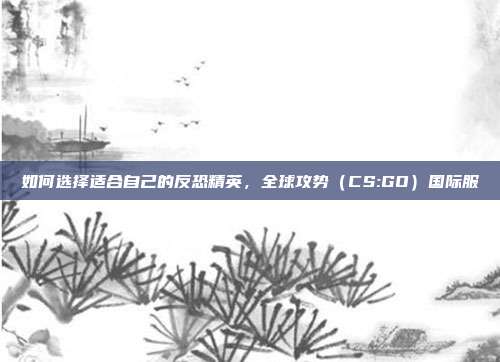 如何选择适合自己的反恐精英,全球攻势(CS:GO)国际服