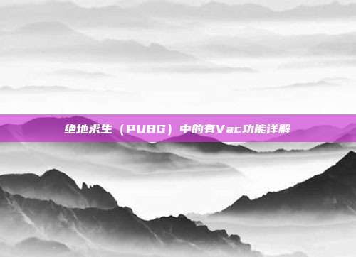 绝地求生(PUBG)中的有Vac功能详解