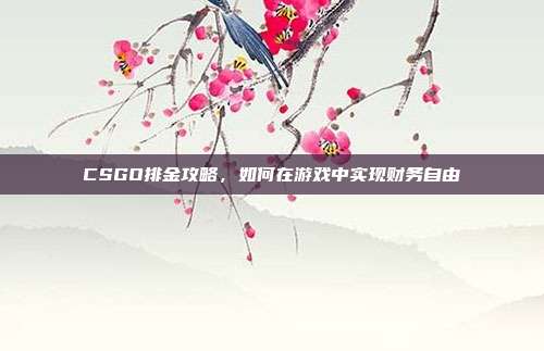 CSGO排金攻略,如何在游戏中实现财务自由
