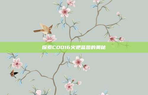 探索COD16火把蓝图的奥秘