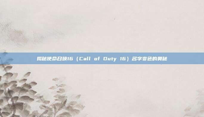 揭秘使命召唤16(Call of Duty 16)名字变色的奥秘