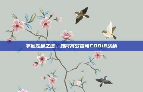 掌握胜利之道,如何高效查询COD16战绩