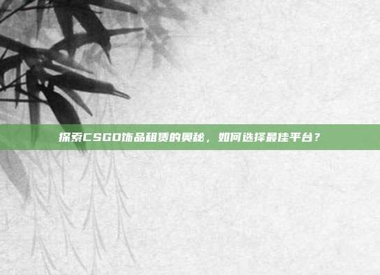探索CSGO饰品租赁的奥秘,如何选择最佳平台?