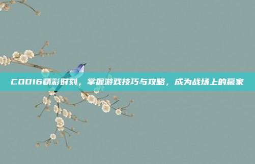 COD16精彩时刻,掌握游戏技巧与攻略,成为战场上的赢家