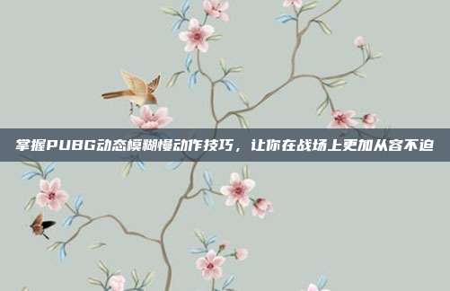 掌握PUBG动态模糊慢动作技巧,让你在战场上更加从容不迫