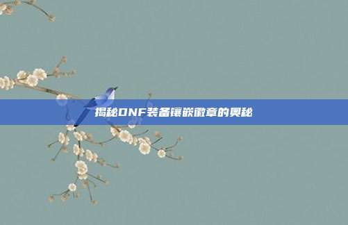 揭秘DNF装备镶嵌徽章的奥秘