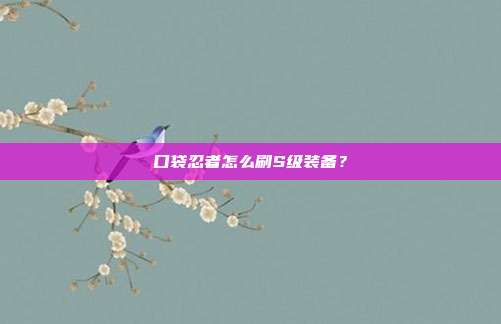 口袋忍者怎么刷S级装备？